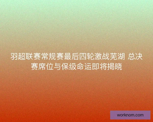 羽超联赛常规赛最后四轮激战芜湖 总决赛席位与保级命运即将揭晓